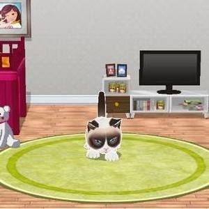 Meet your Posher, Annette